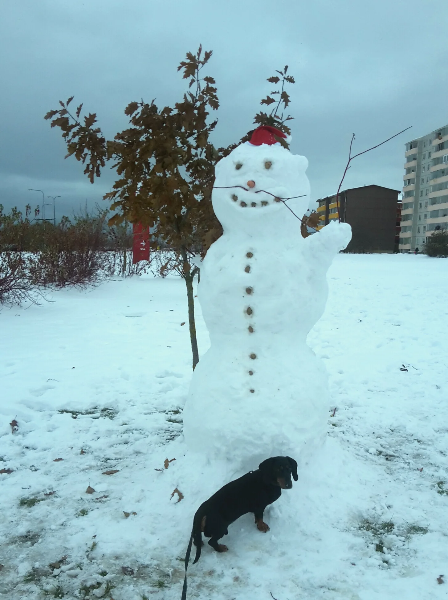 2016-11-13 08.27.59.webp