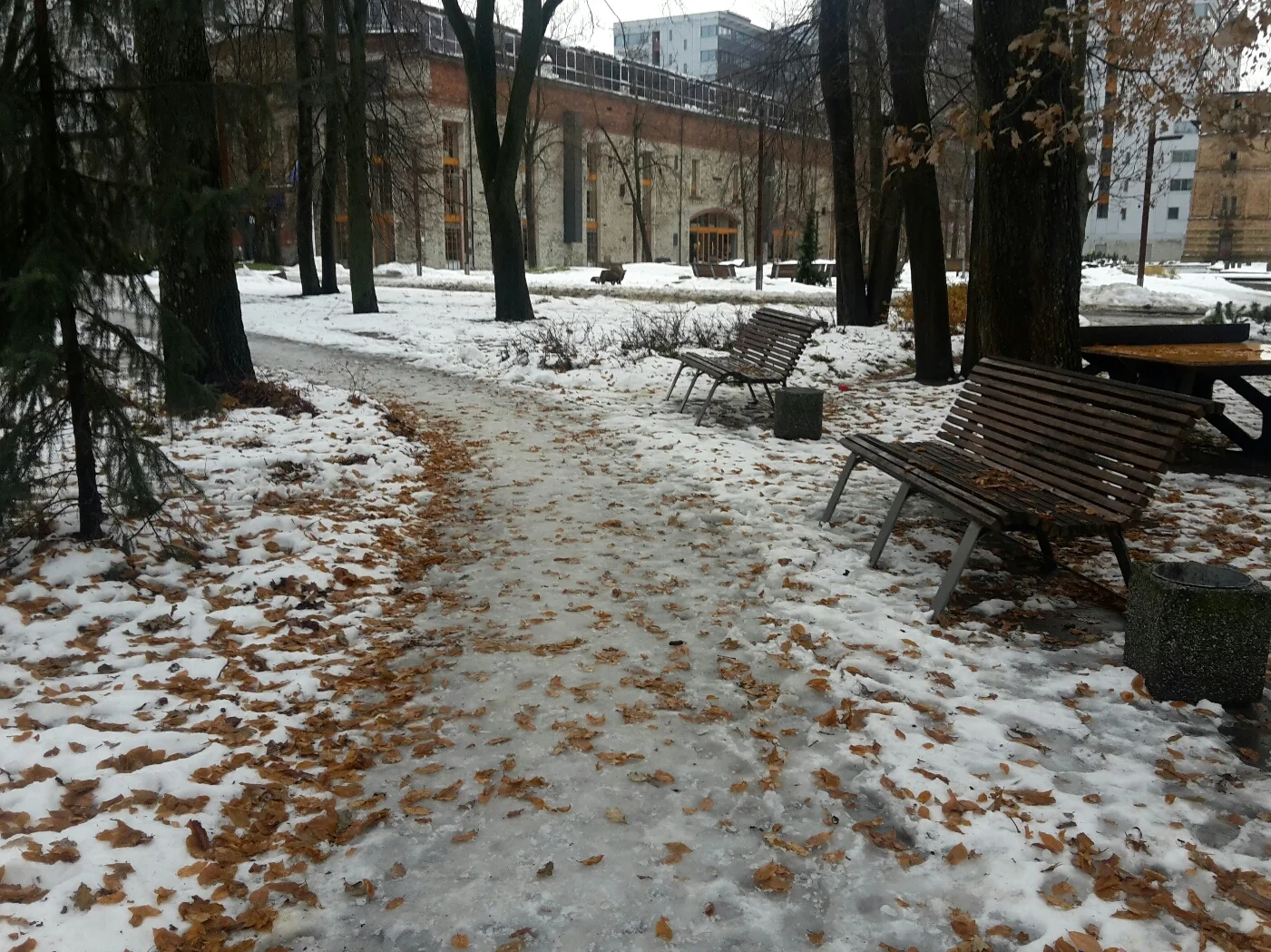 2016-11-17 13.42.45.webp