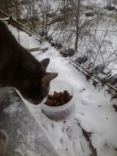 2016-12-04 09.26.35.webp