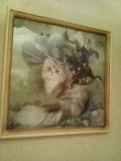 2016-12-04 16.47.43.webp