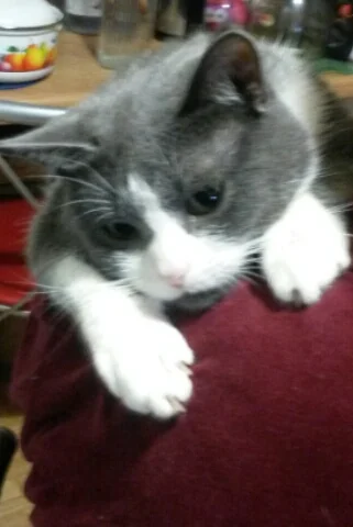 2016-12-08 19.55.13.webp