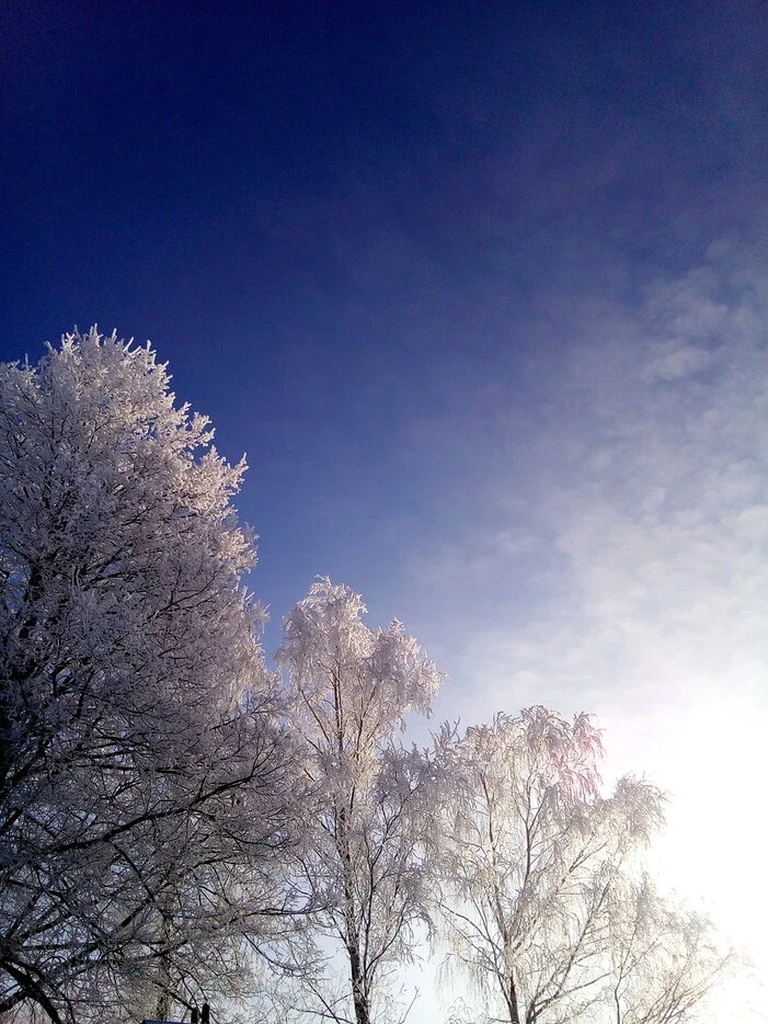 2016-12-16 12-01-12.webp