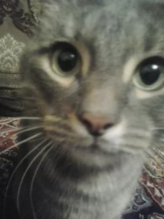 2016-12-17 21.44.05.webp