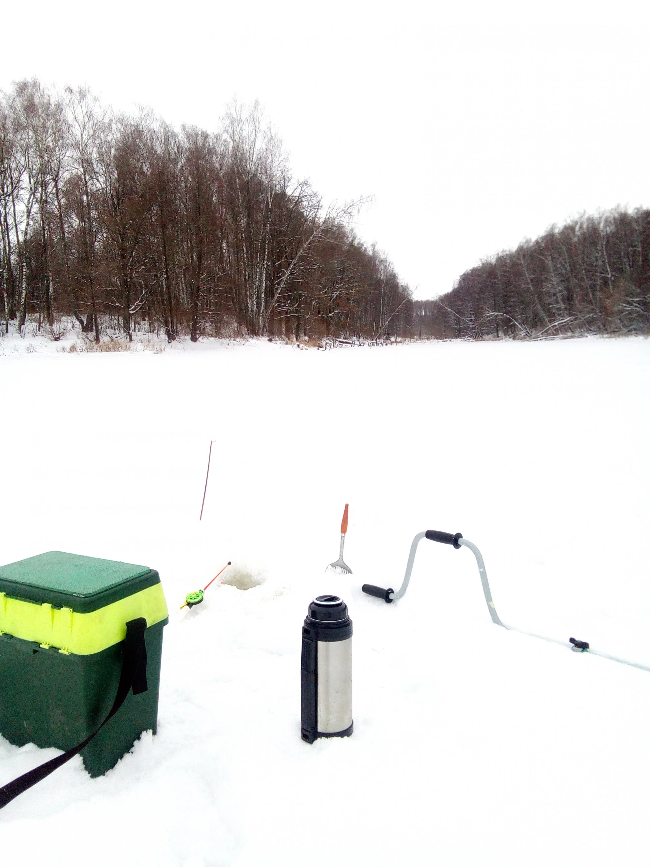 2016-12-19 10-40-49.webp