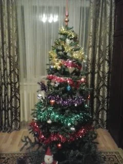 2016-12-26 18.44.41.webp