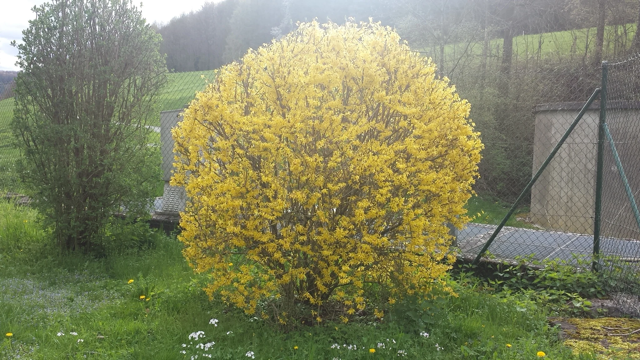 20160415_174451.webp