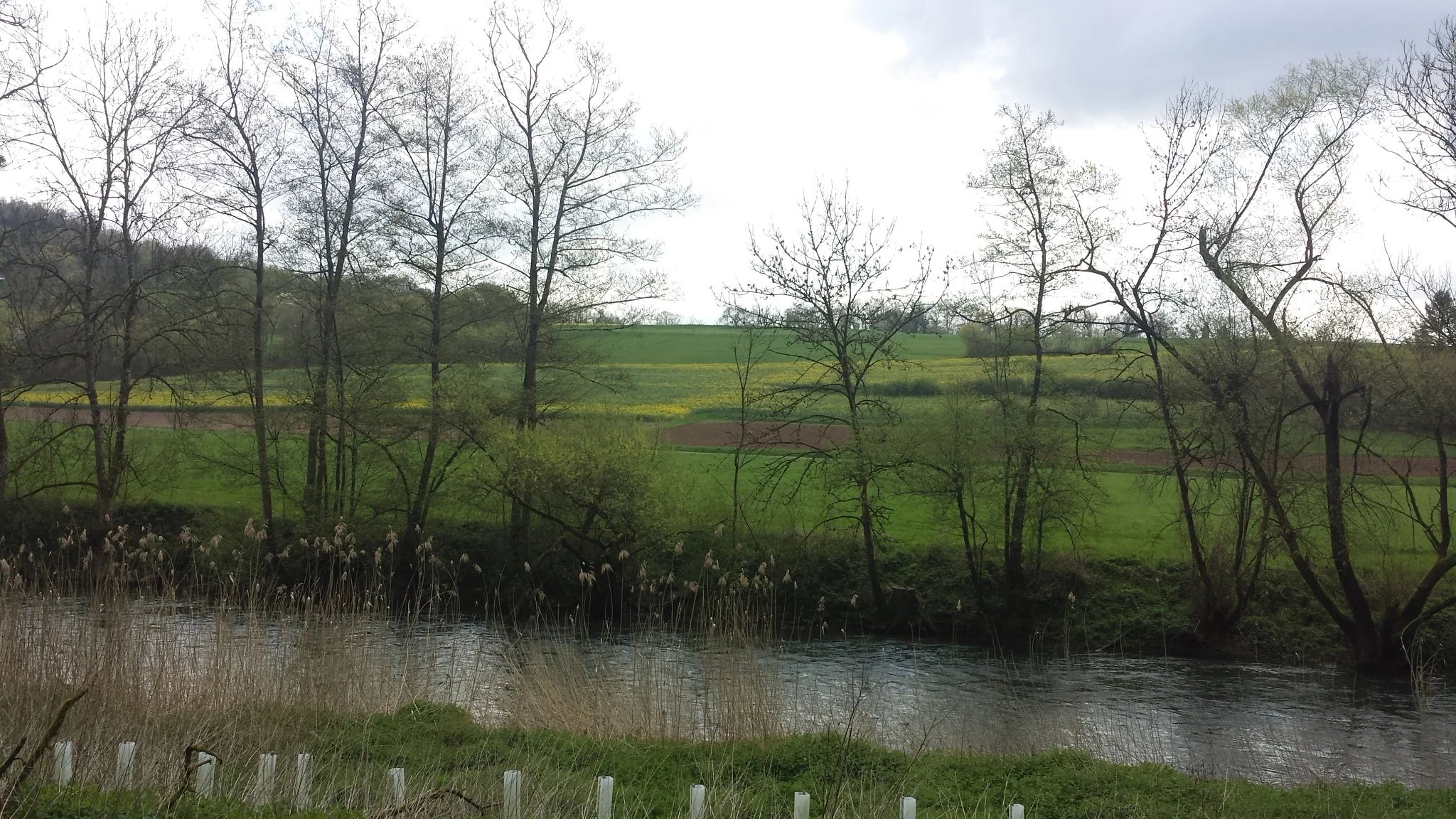 20160424_104740.webp