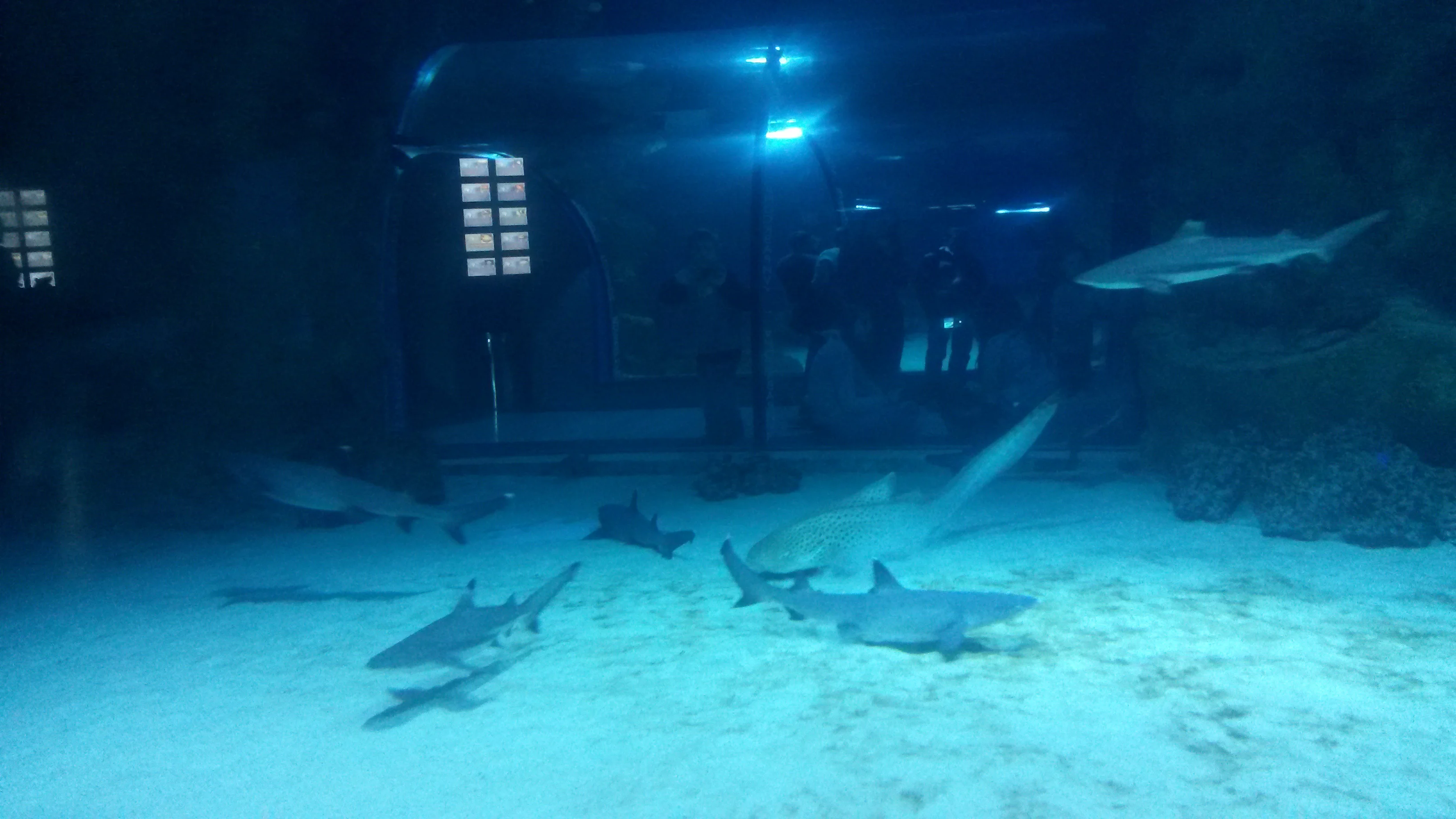 20161113_163810.webp