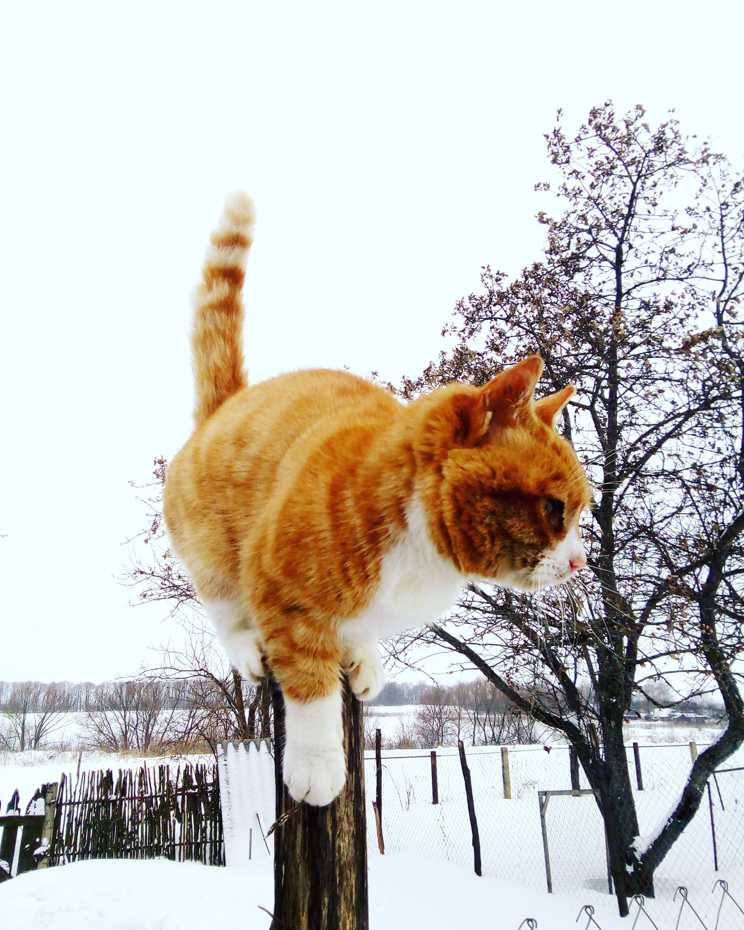 2017-01-14 13-36-59.webp