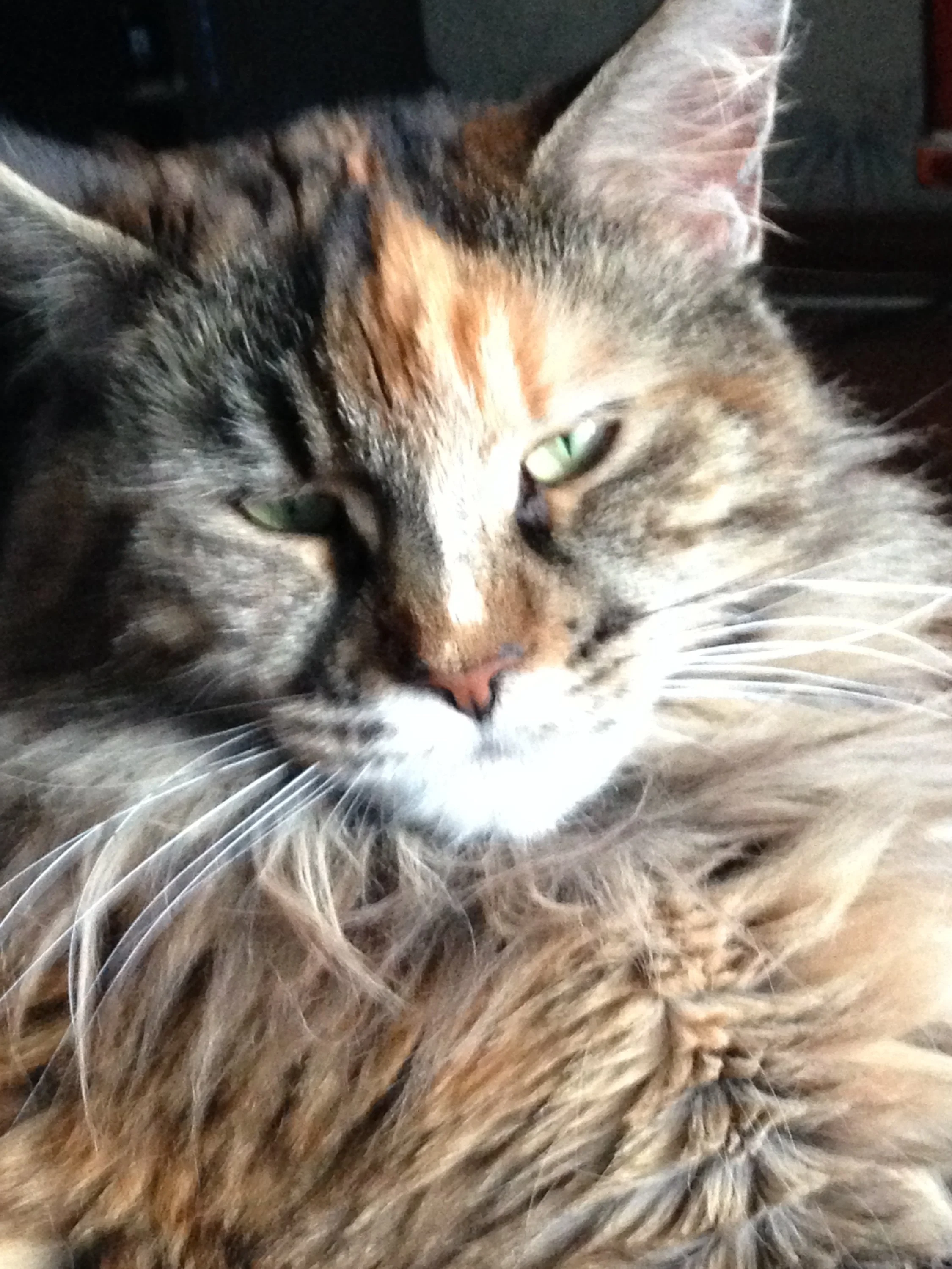 2017-01-21 15-33-15.webp