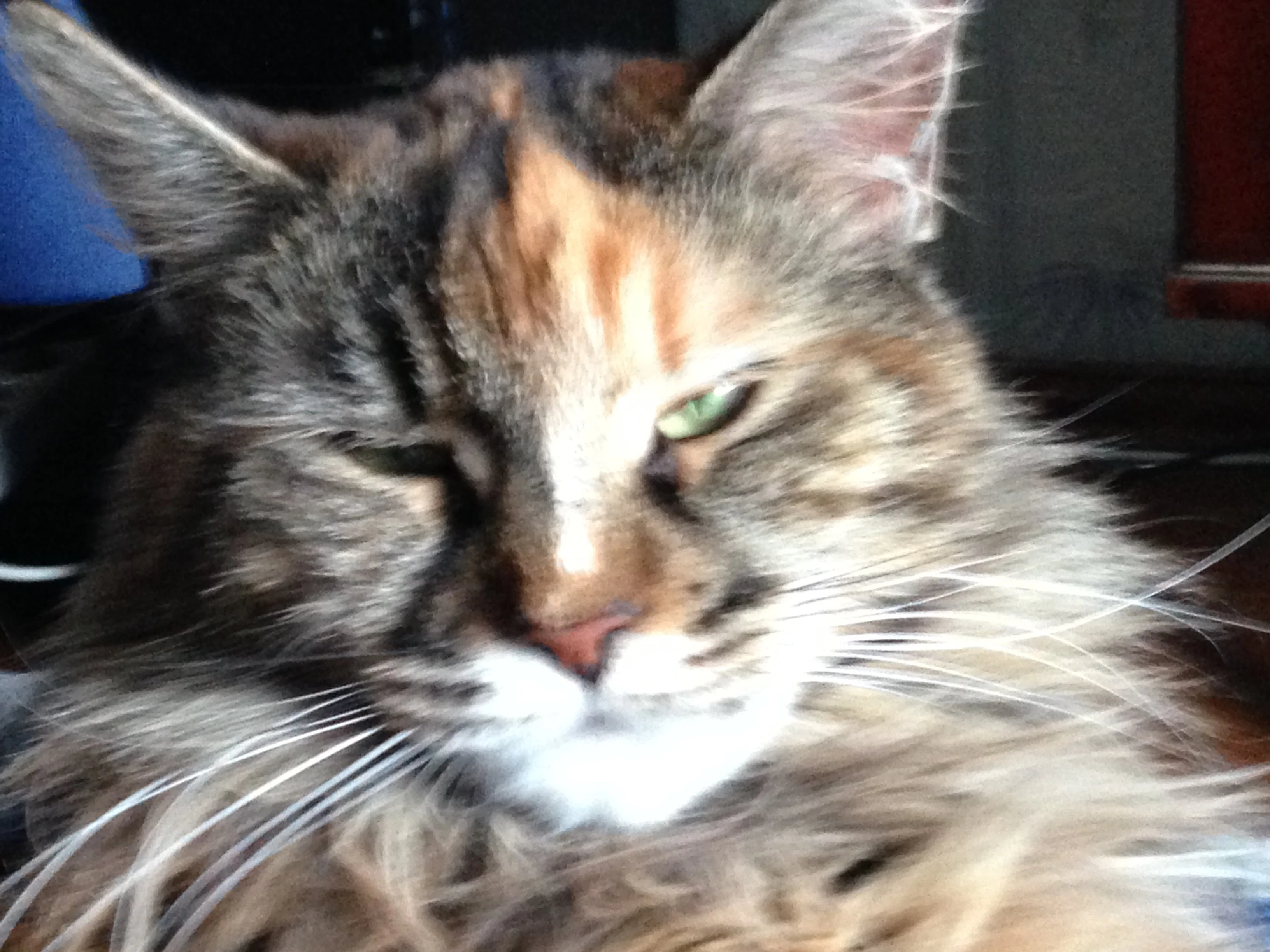 2017-01-21 15-33-21.webp