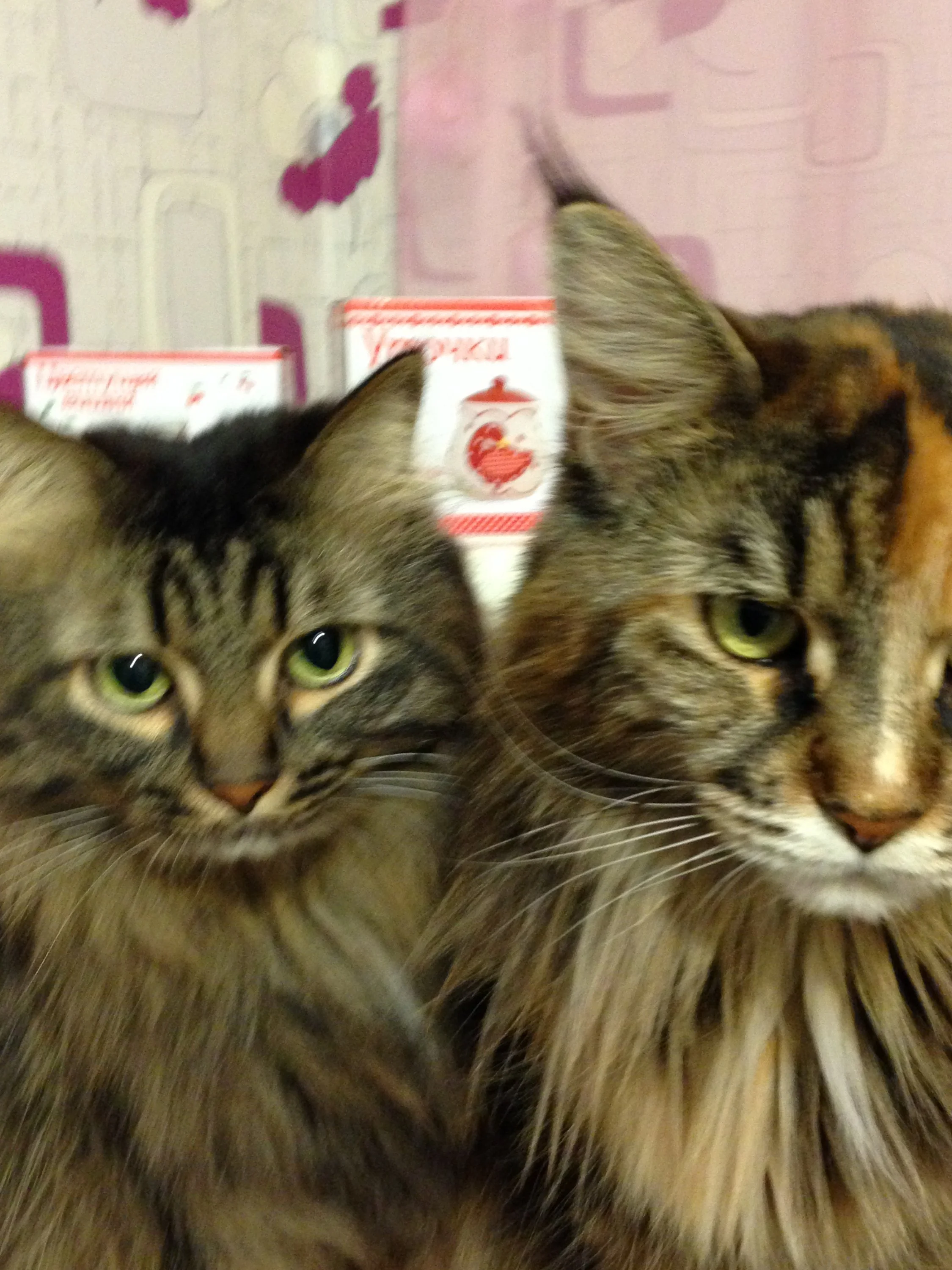 2017-01-22 23-20-49.webp