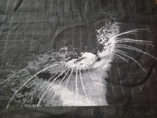 2017-01-29 12.15.45.webp