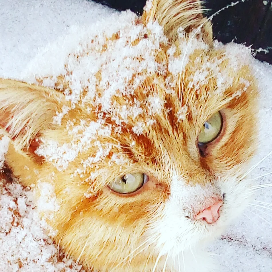 2017-02-04 18-44-25.webp