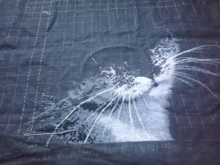 2017-02-05 14.42.07.webp