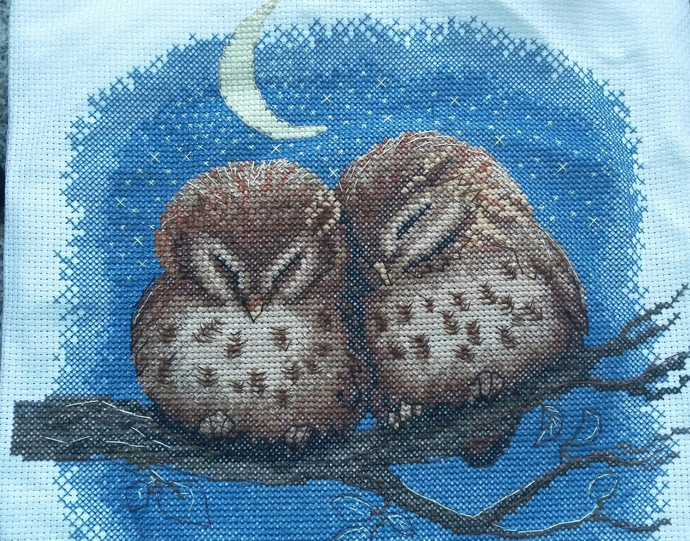 2017-02-07 16.19.55.webp