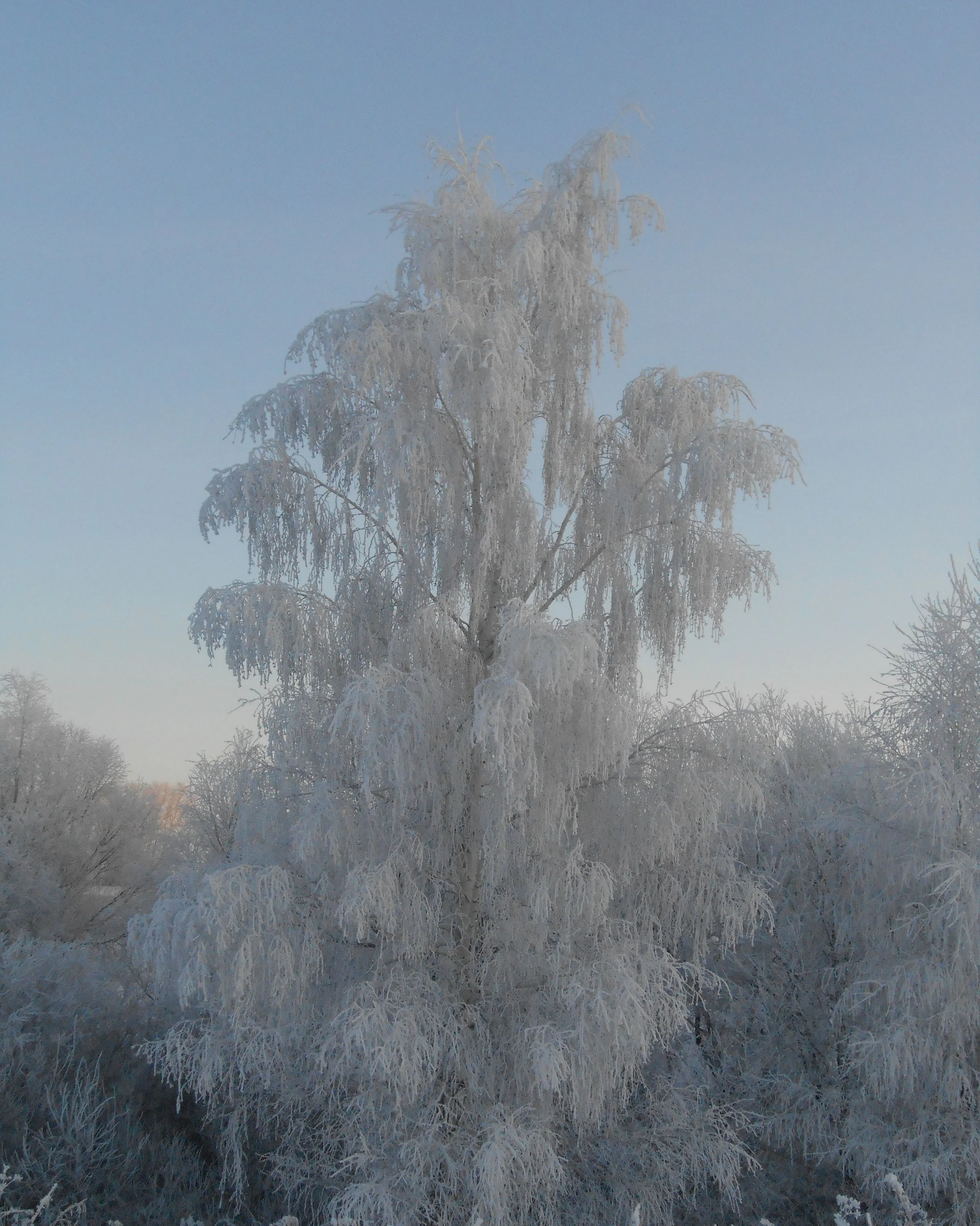 2017-02-08 07-59-01.webp