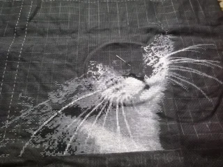 2017-02-12 12.17.29.webp