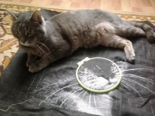 2017-02-12 12.19.54.webp