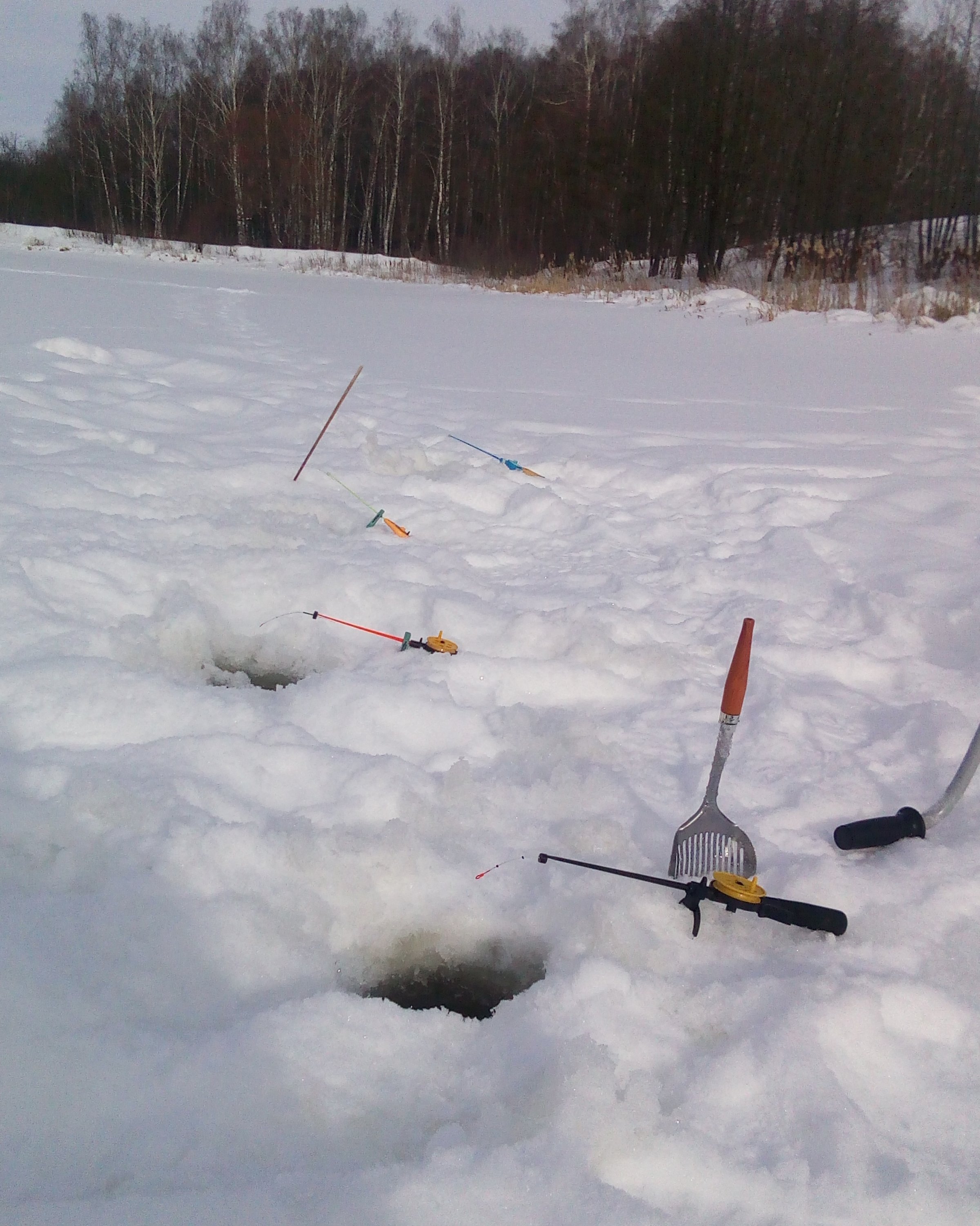 2017-02-13 15-24-39.JPG