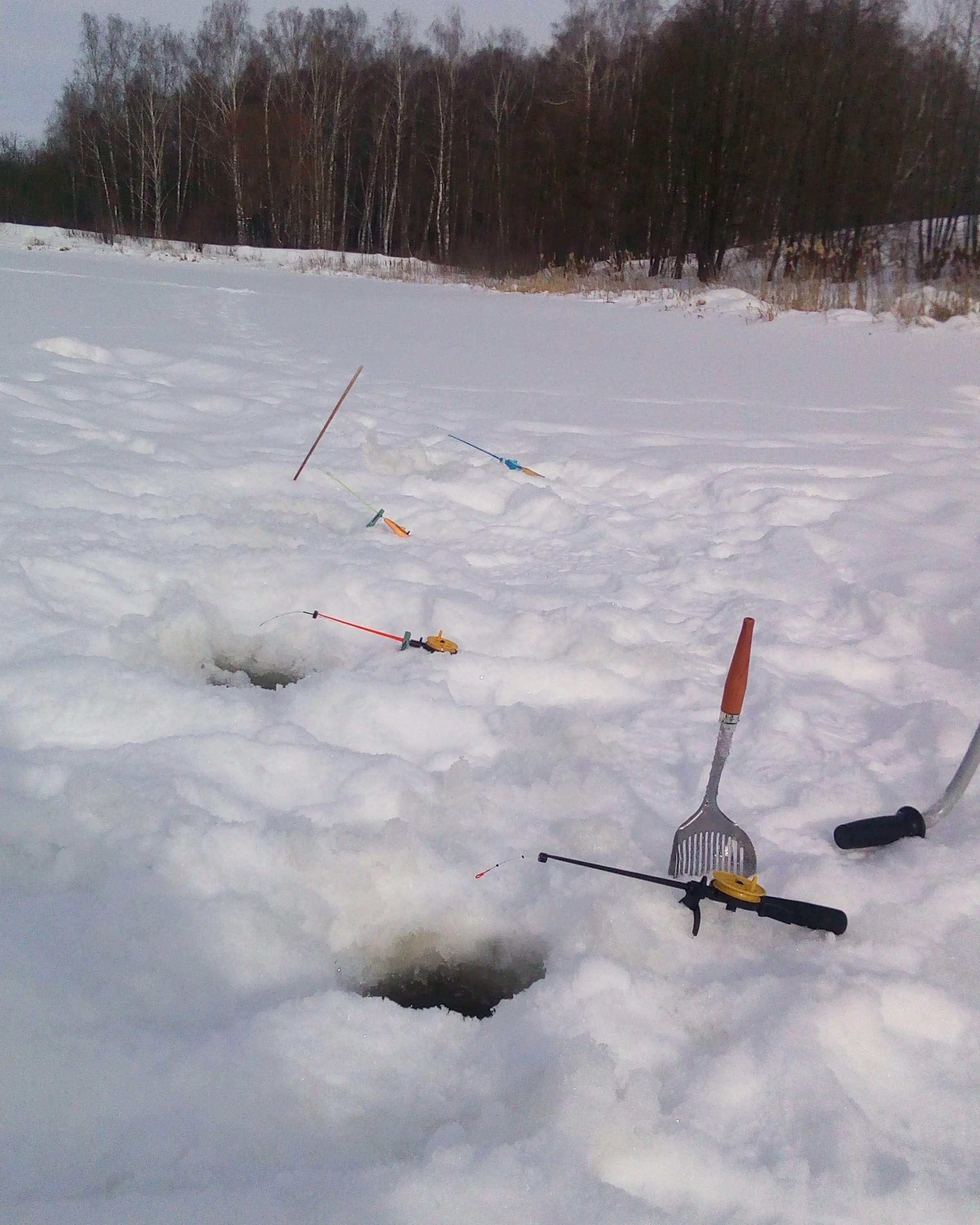 2017-02-13 15-24-39.webp