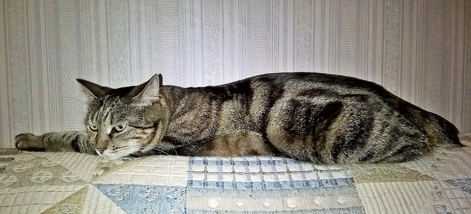 2017-02-14 21-33-34.webp