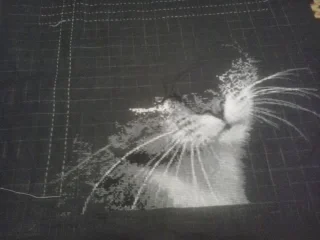 2017-02-19 17.36.12.webp