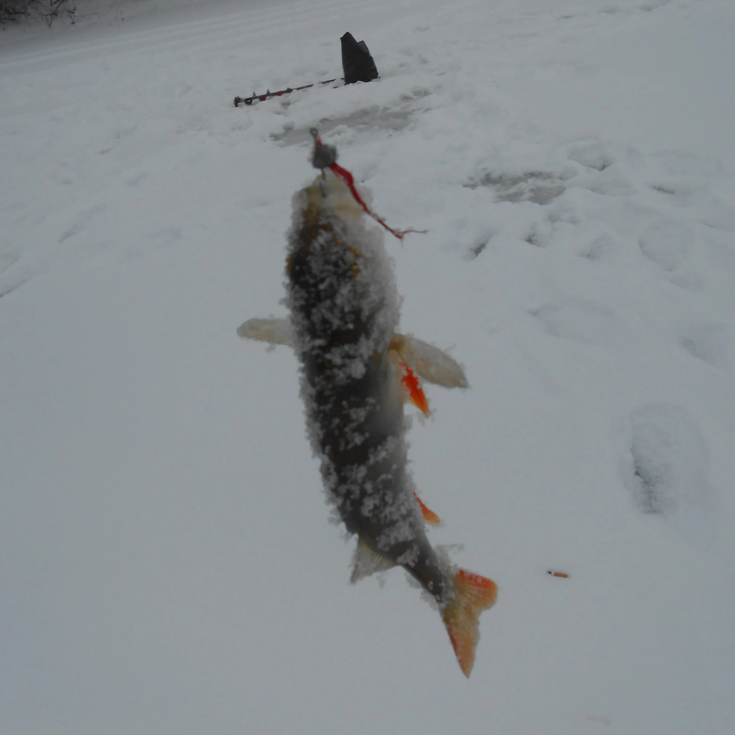 2017-02-20 16-53-02.webp