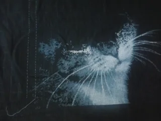 2017-02-26 16.56.53.webp