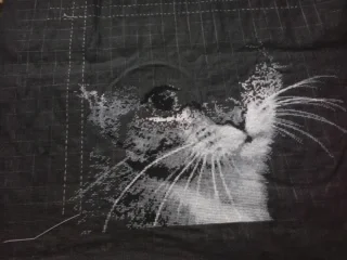 2017-03-05 15.58.04.webp