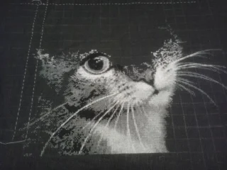 2017-03-12 18.30.35.webp