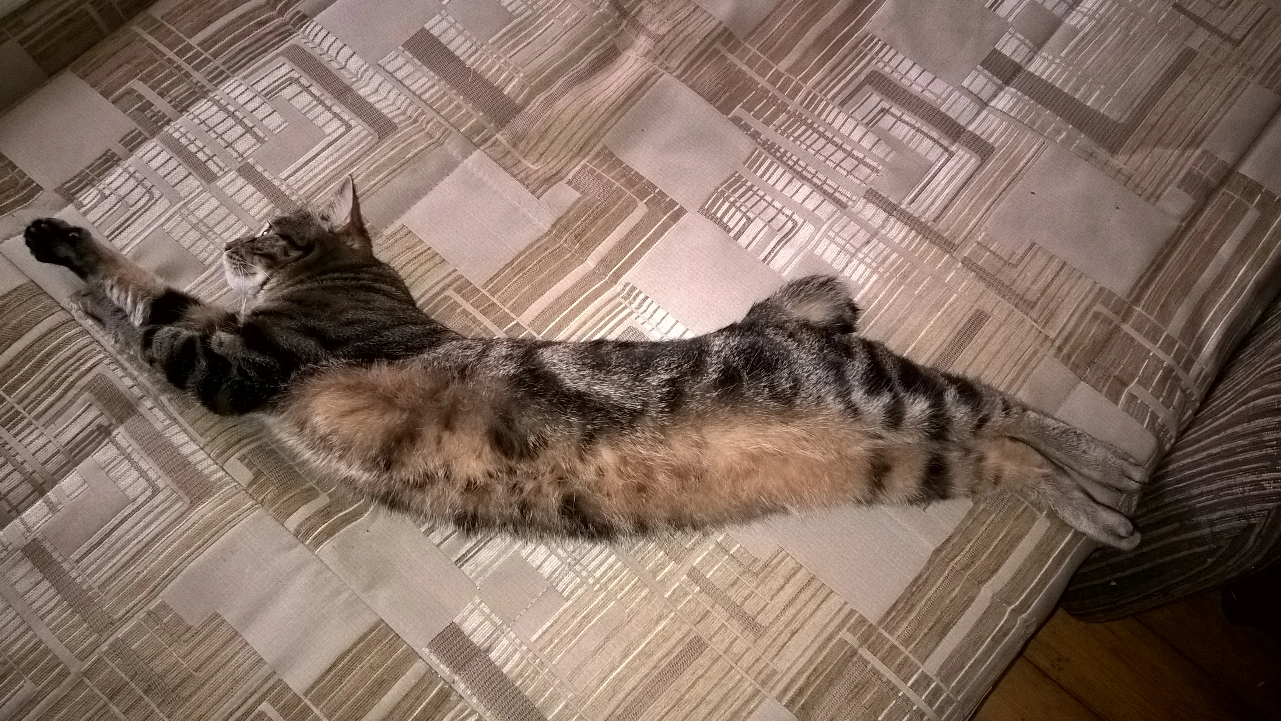 2017-03-14 12-45-04.webp