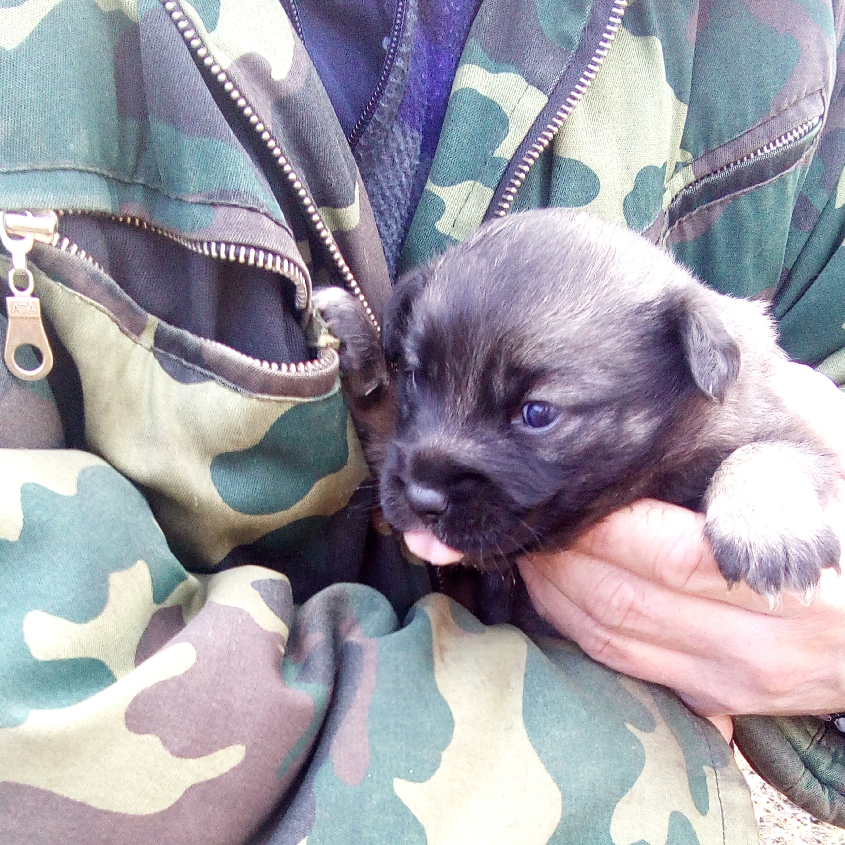 2017-03-19 09-01-24.webp