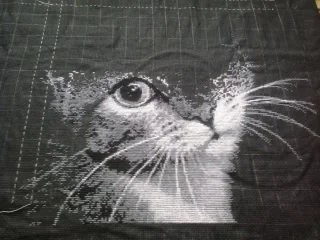 2017-03-19 12.34.21.webp