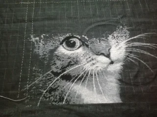 2017-03-26 12.12.25.webp