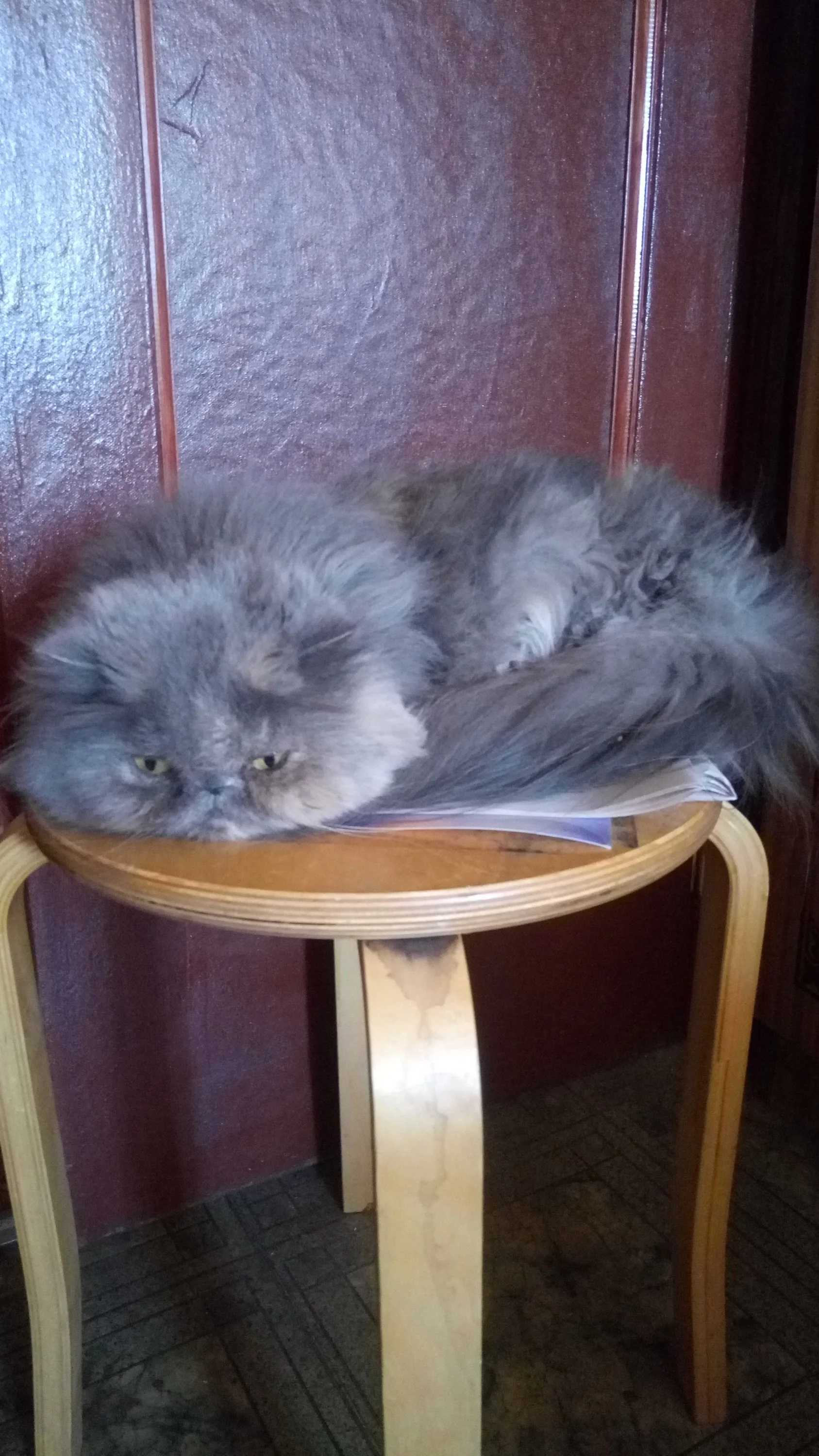 2017-04-05 12-36-40.webp