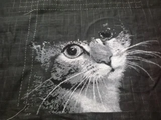 2017-04-09 15.31.28.webp