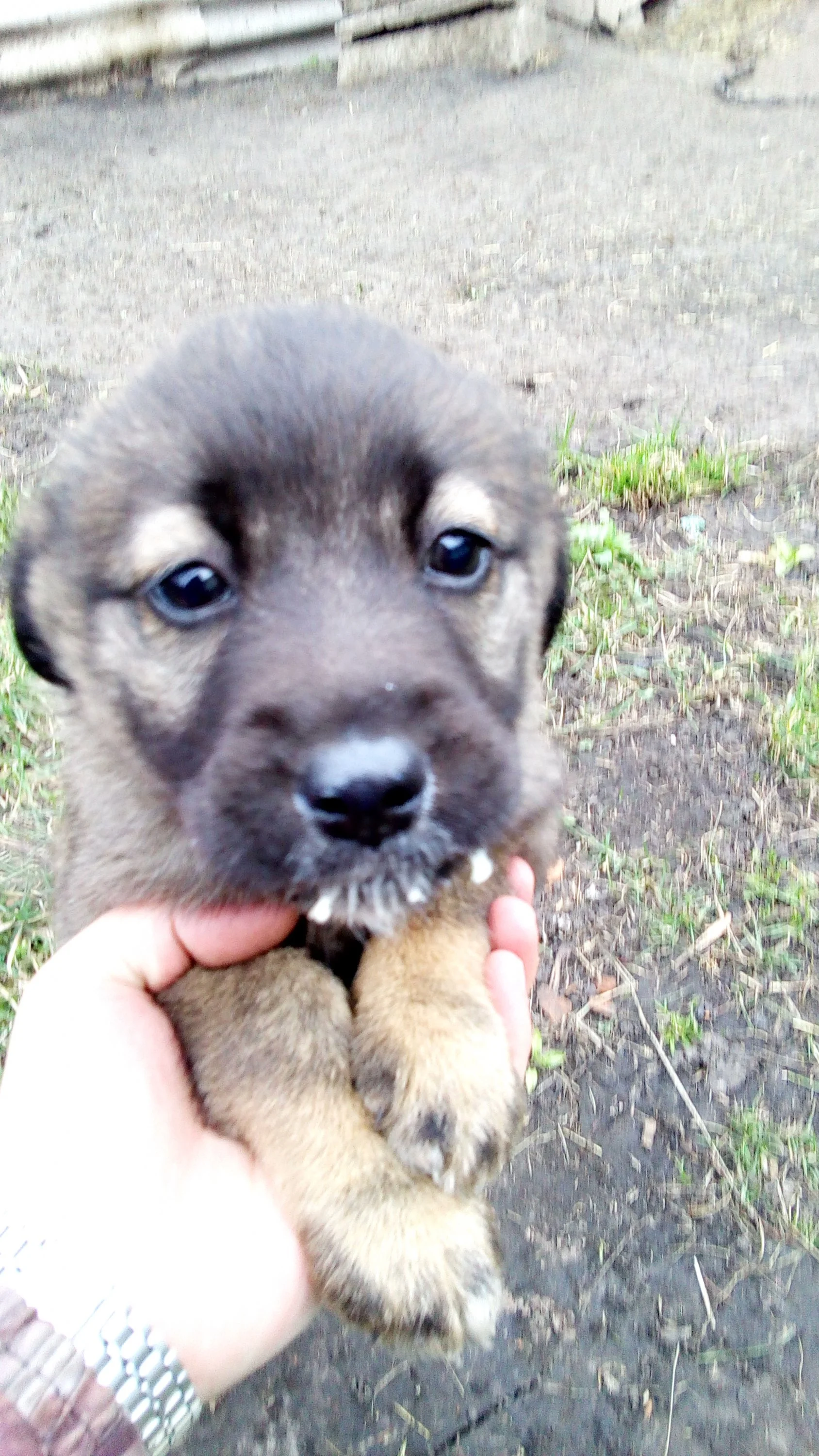 2017-04-13 17-04-38.webp