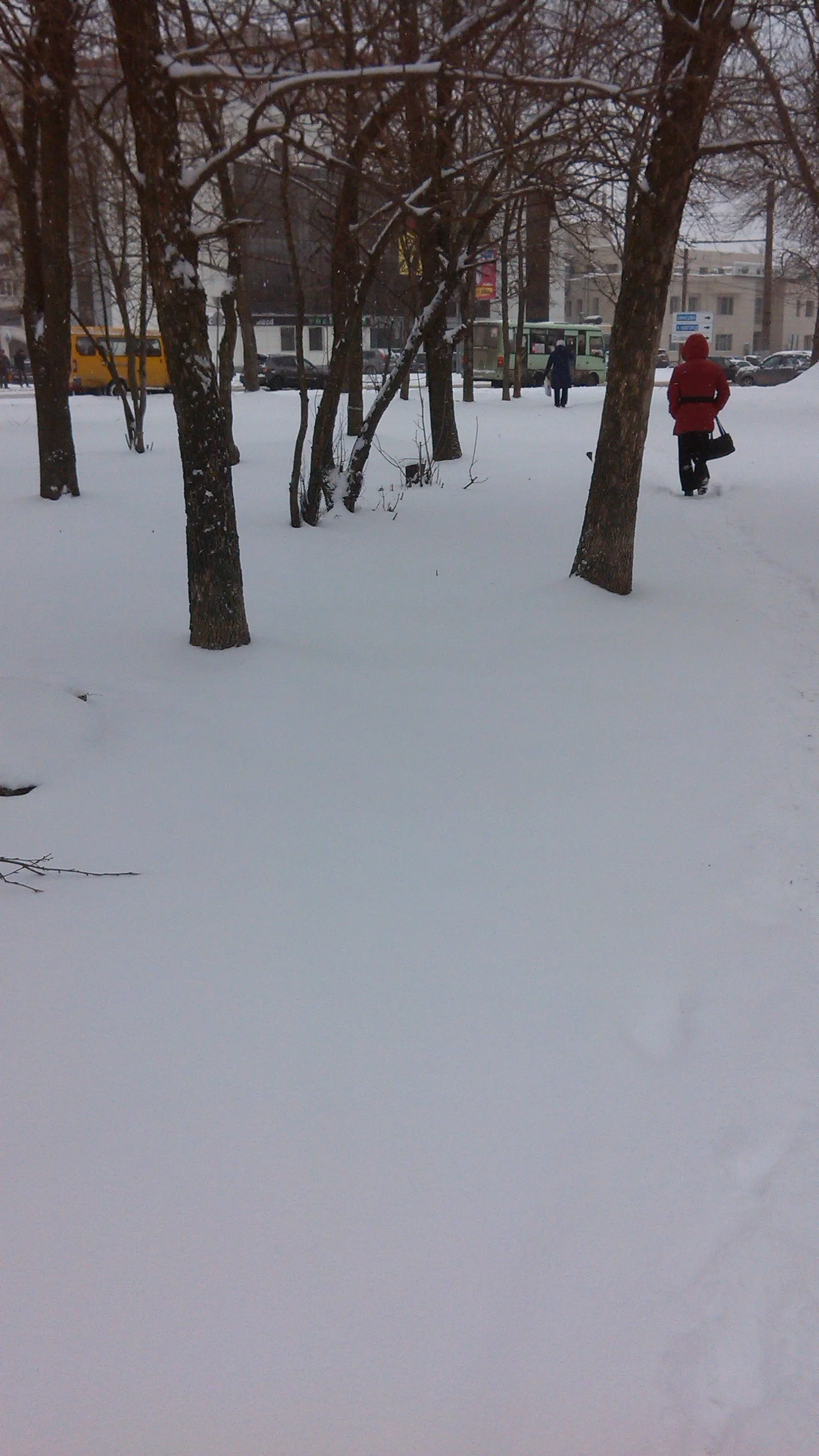 2017-04-17 10-02-01.webp