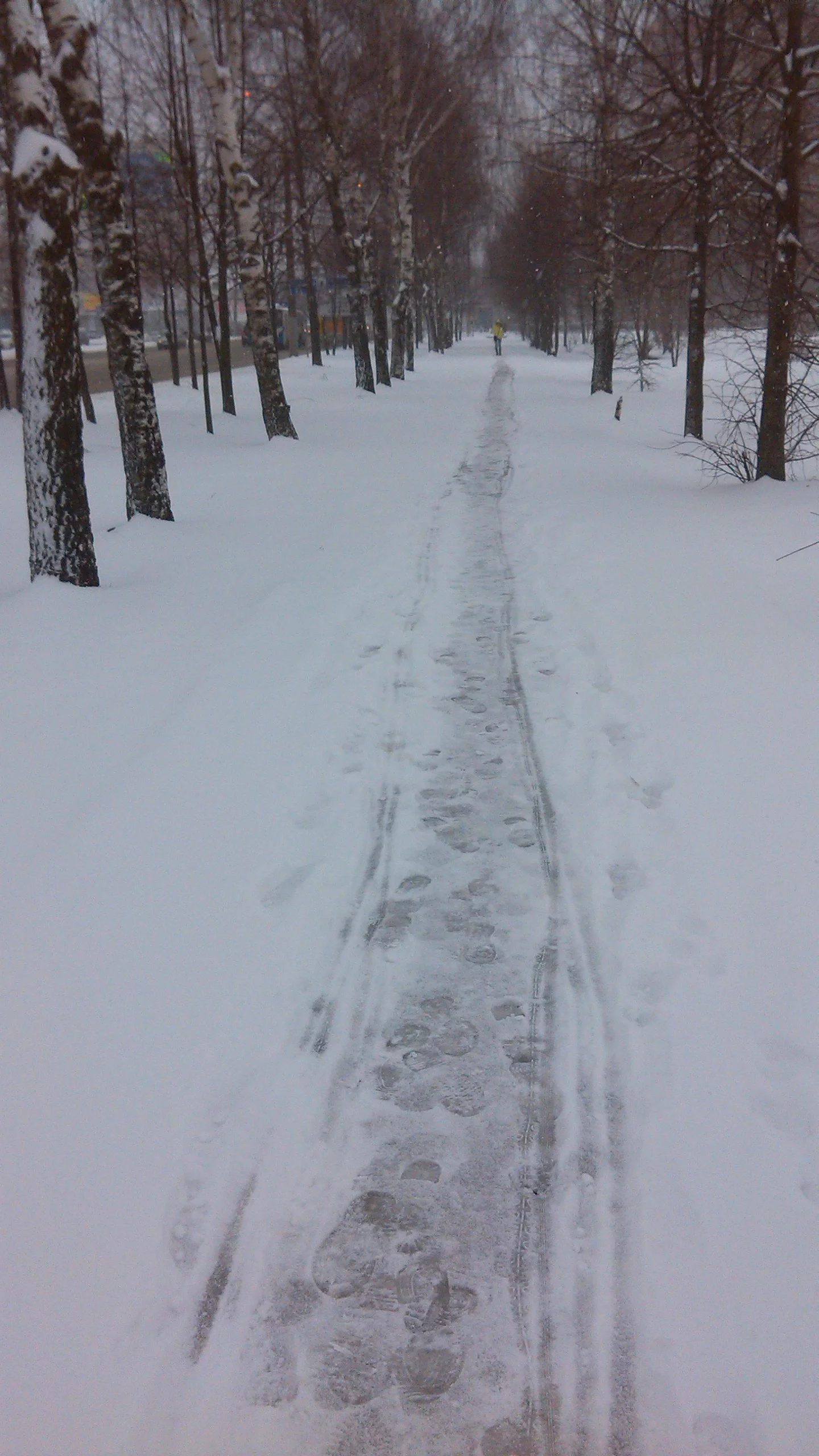 2017-04-17 10-42-08.webp