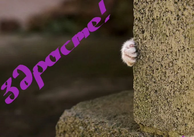 2017-05-05 08.50.50.webp