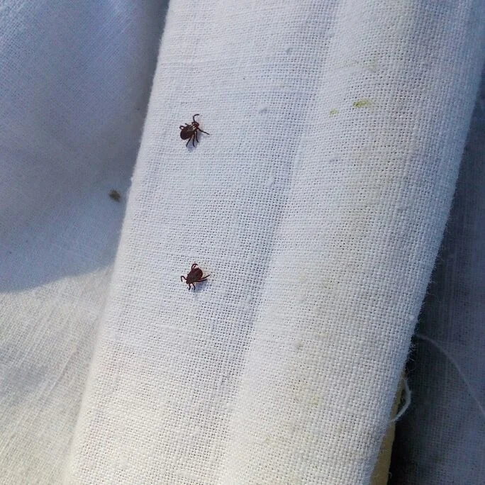 2017-05-05 16-35-45_1493991424.webp