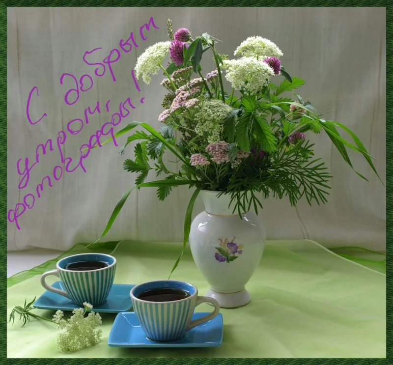 2017-05-06 13.27.24.webp