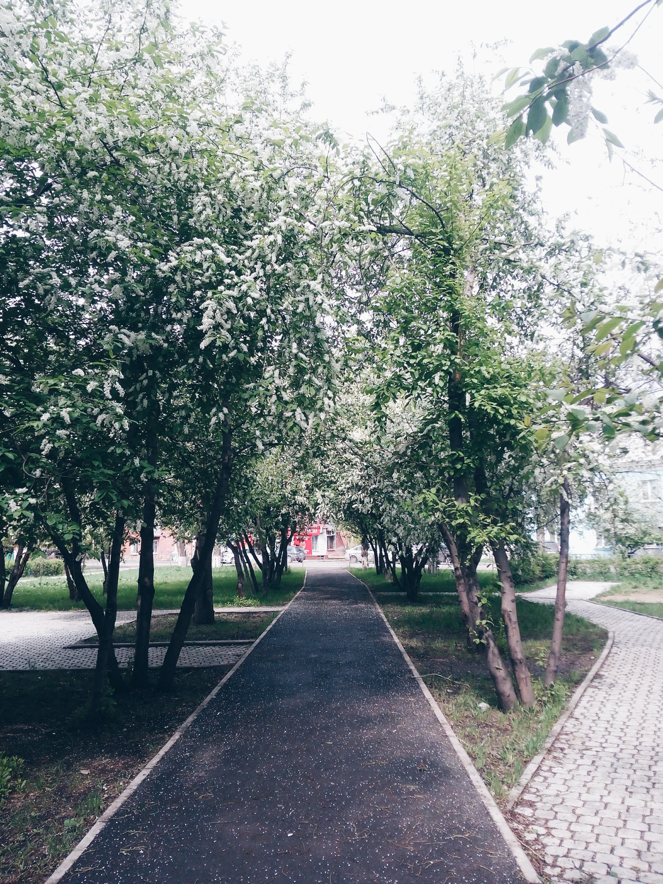 2017-05-15 11.30.21 1.webp