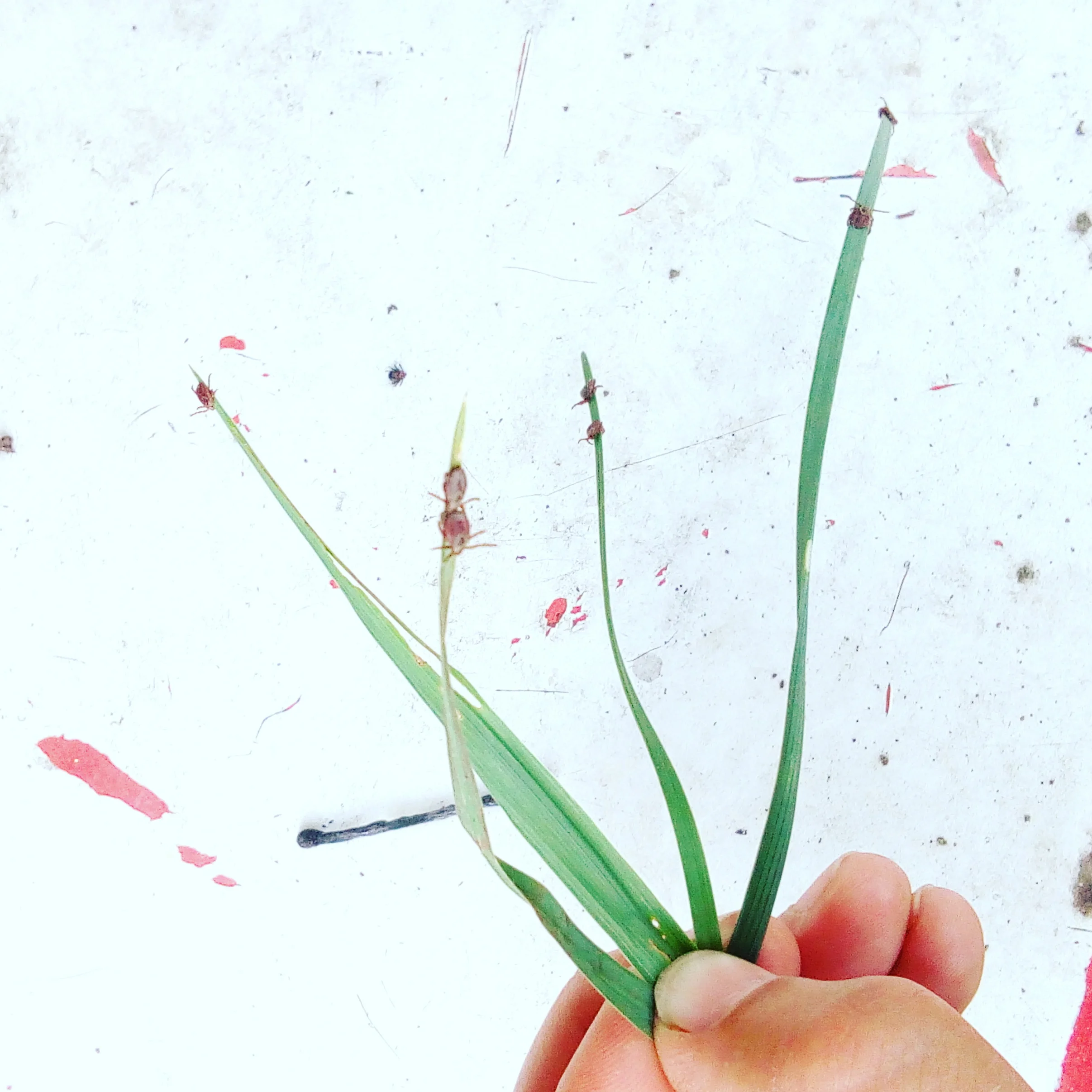 2017-05-28 08-59-07.webp