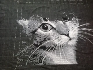 2017-05-28 10.55.06.webp