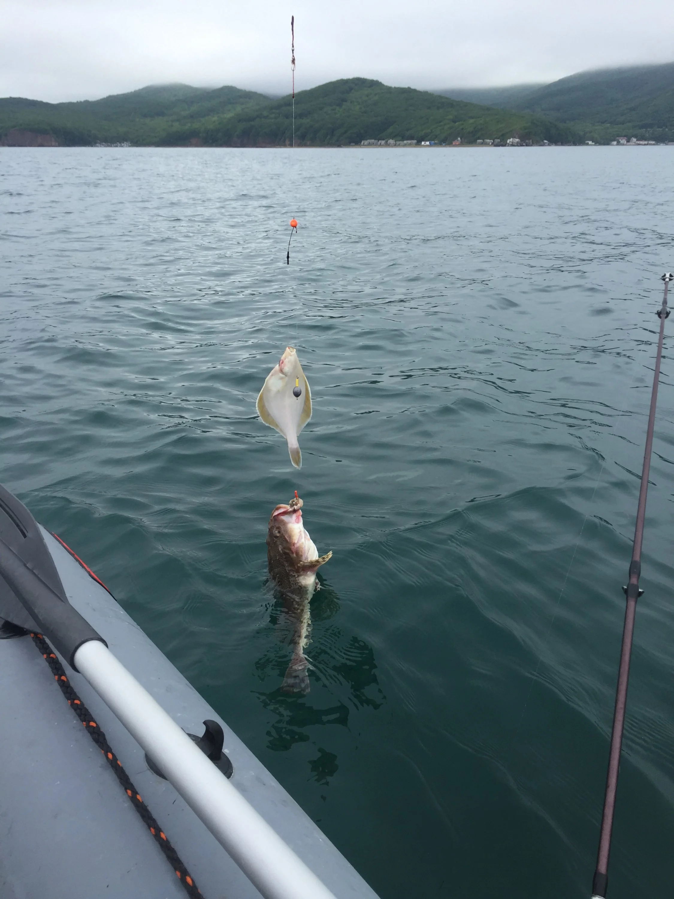 2017-06-04 10-52-24.webp