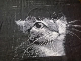 2017-06-04 11.04.15.webp