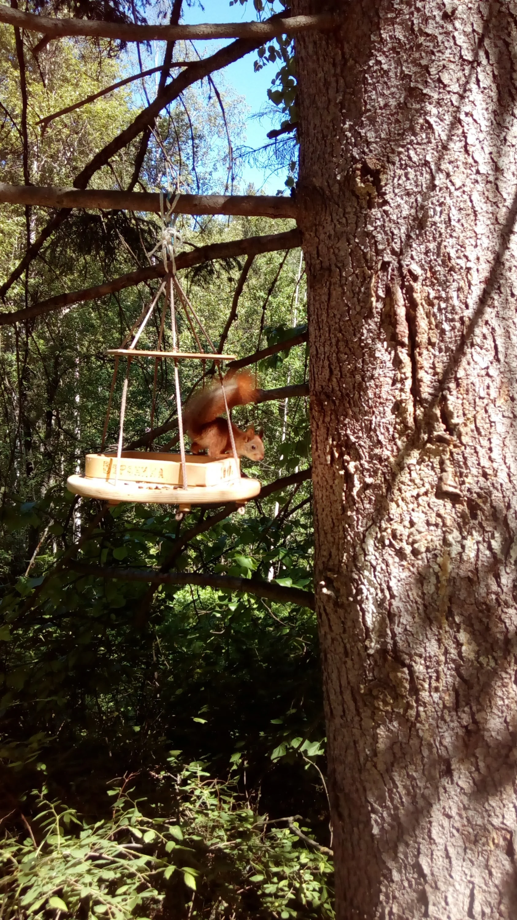 2017-06-15 14-46-43.webp