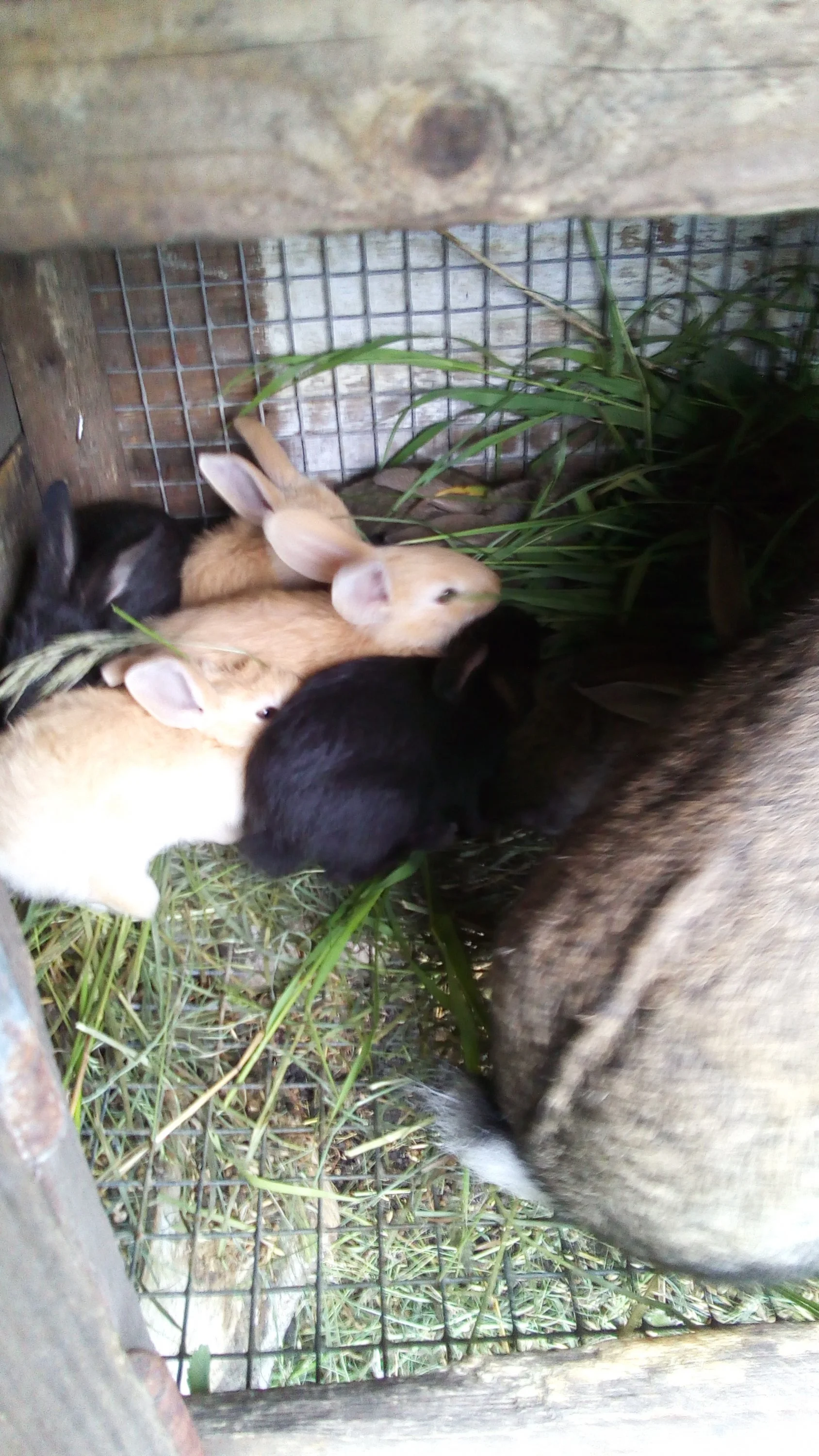 2017-06-17 06-34-43.webp